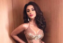 As 'Imlie' takes a 20-year leap, Seerat Kapoor to play Cheeni