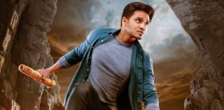 Box Office - Karthikeya 2 [Hindi] hits the 30 crores mark