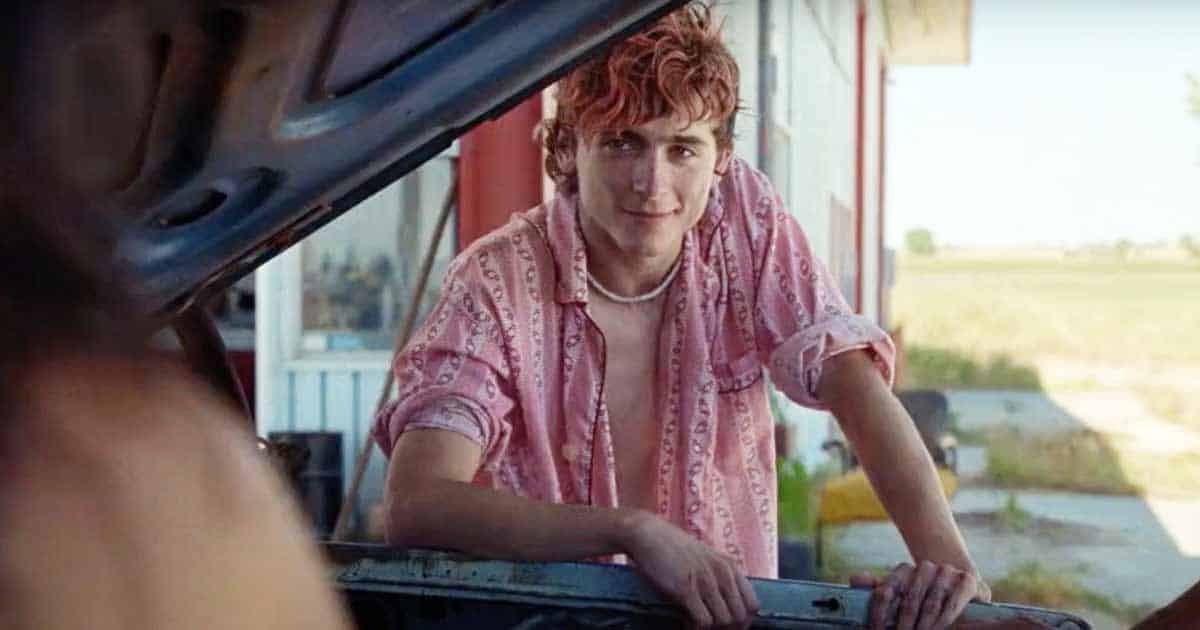 Timothee Chalamet's 'Bones and All' gets 8.5-minute standing ovation at Venice