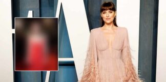 When Dakota Johnson Wore A Risky Plunging Neckline Gown Flaunting Her Cleav*ge - See Pic Inside