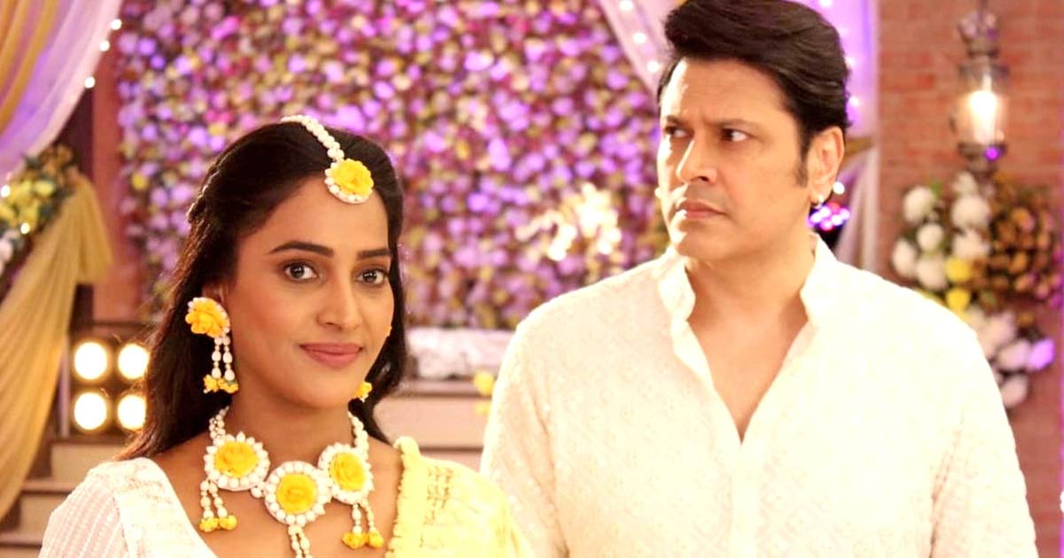 Appnapan: Cezanne Khan Talks About The Upcoming Twist In The Plot Of The Show