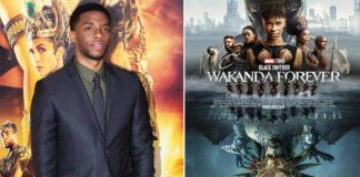 Generations will feel his presence: Stars hail Boseman at 'Wakanda Forever' premiere