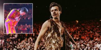 Harry Styles Hilariously React To Getting Hit With A Bottle Right On His Crotch During His Concert