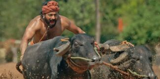 Kantara Actor Rishab Shetty Doesn't Want The Film To Be Remade In Hindi & Said, "To Play Such Characters You Have To Believe In The Roots..."