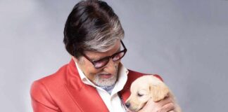 Big B mourns passing of pet golden retriever