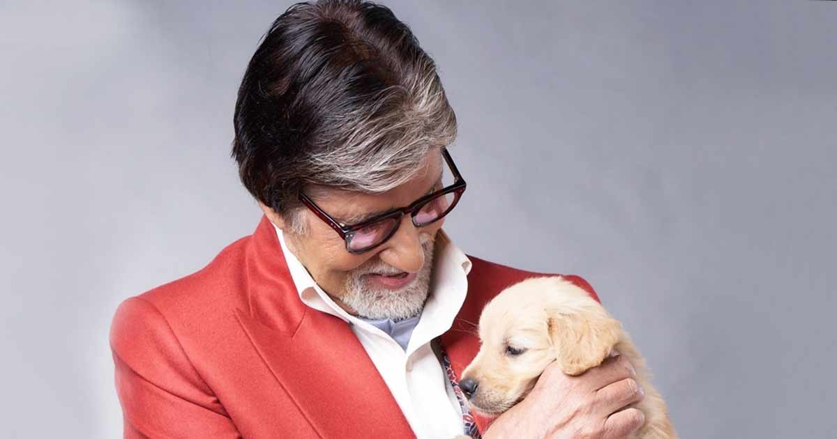 Big B mourns passing of pet golden retriever