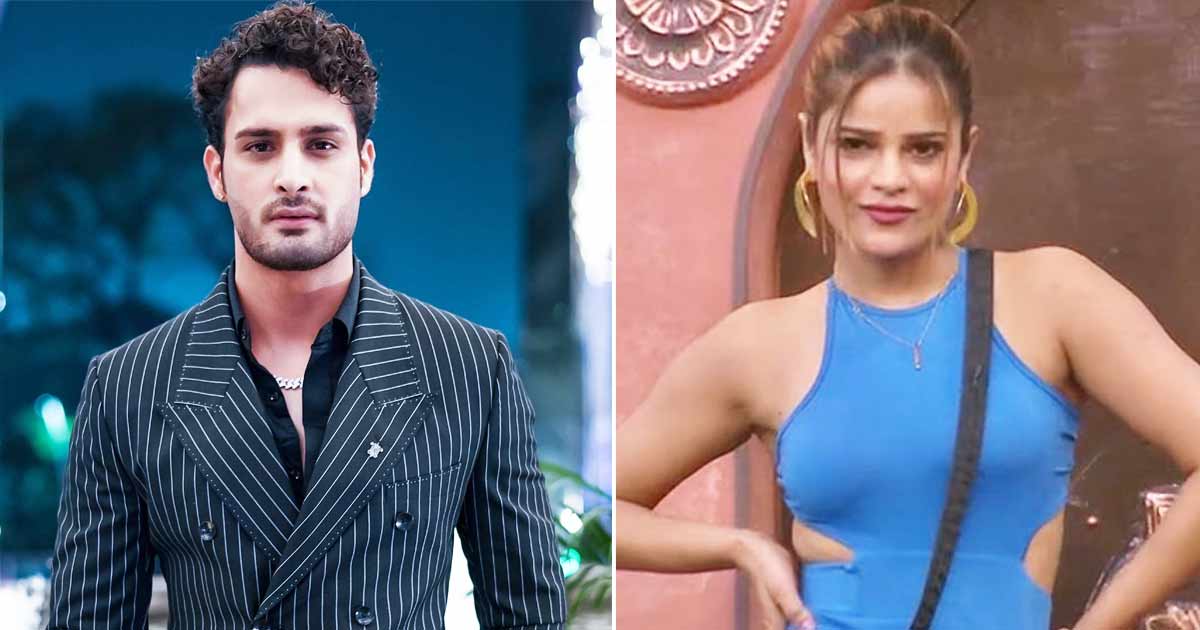 Shalin-MC Stan to Sidharth-Asim, Violence in Bigg Boss over years