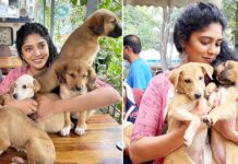 Don't buy dogs, adopt them, advises Samyukta Hornad