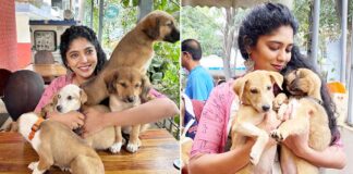 Don't buy dogs, adopt them, advises Samyukta Hornad