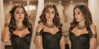 Hina Khan Looks Glamorous In A Black & Bronze Combo Indo-Western Outfit