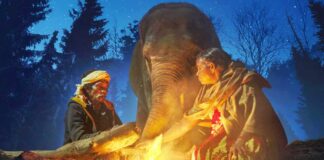 Netflix doc 'The Elephant Whisperers' follows couple as they raise a jumbo orphan
