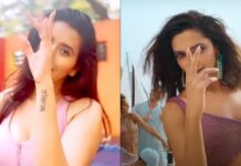 Actor Charu Asopa Gets Trolled For Sharing Video On Besharam Rang, People Called Her Sasti Deepika Padukone