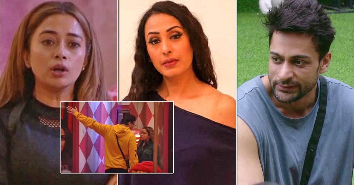 Bigg Boss 16: Kashmera Shah Bashes Shalin Bhanot