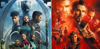 Black Panther: Wakanda Forever Create New Record At The Domestic Box Office