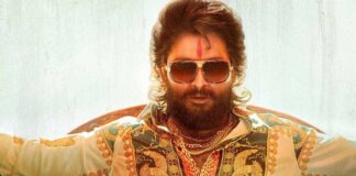 Pushpa At The Russian Box Office
