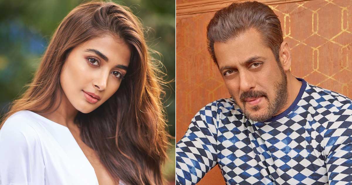 Salman Khan & Pooja Hegde Dating Rumours Brutally Rubbished: “Woh Log Jo  Aise Wahiyat Khabar Felate Hai, Kuch Toh Sharam Karo…”