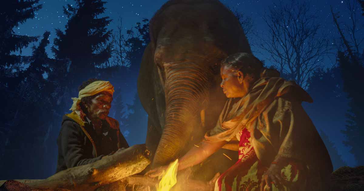 95th Oscar Nominations: 'The Elephant Whisperer' makes it to Short Film list