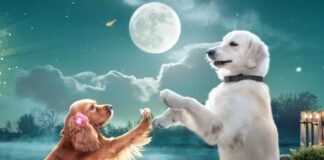 A film with just puppies and a rooster, 'Valatti' all set for a notable first