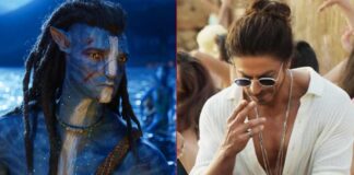 Avatar 2 Indian Collection Update
