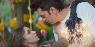 Box Office - Riteish Deshmukh - Genelia D'Souza's Ved continues to collect, is the top Marathi film even after three weeks