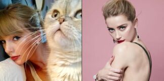 Did You Know Amber Heard's Current Net Worth Lower Than Taylor Swifts Cat Olivia Benson?
