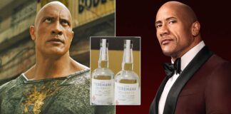Dwayne Johnson's Red Notice Advertised Brands In A Way That Made The Actor Earn Twice His Salary Of Black Adam