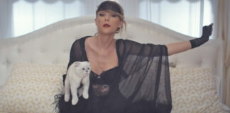 Taylor Swift's Feline Olivia Benson's Worth Is More Than We Can Imagine, Becomes Third Wealthiest Pet In This World!