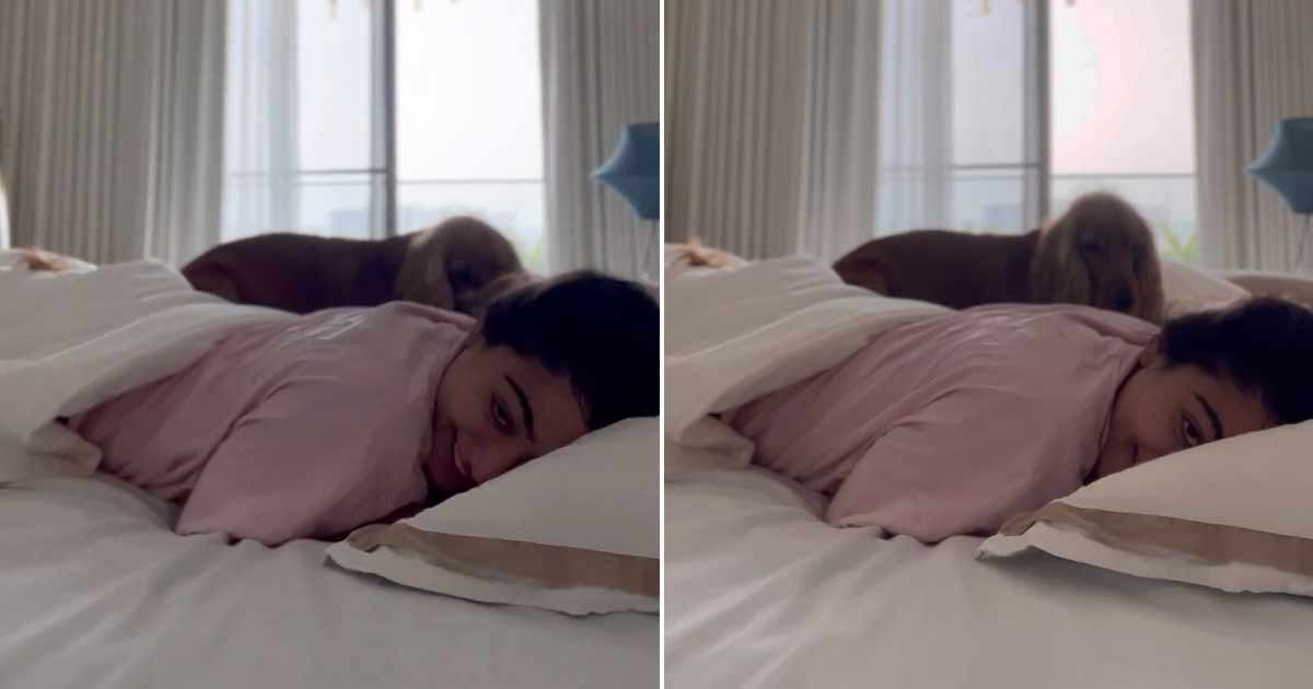 Rashmika wins hearts with her love for pooch Aura on V-Day