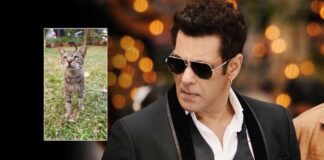Salman Khan posts cat video leaving fans surprised, intrigued