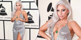 When Lady Gaga Took The Fashion World By Storm While Wearing An Outfit With A Deep Plunging Neckline!