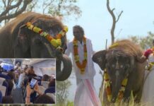 Bomman, Bellie of 'The Elephant Whisperers' cheered as they board flight