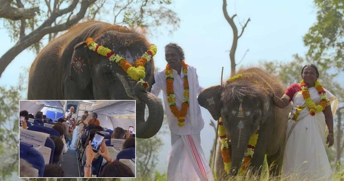 Bomman, Bellie of 'The Elephant Whisperers' cheered as they board flight
