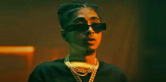 How 'Bigg Boss 16' winner MC Stan connected with rap music