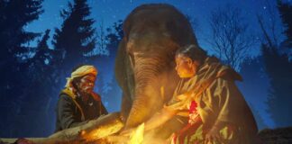 Oscar 2023: India's 'The Elephant Whisperers' brings home Best Documentary Short Film