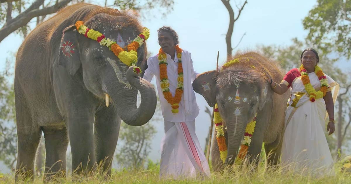 The Elephant Whisperers: Oscar-Winning Documentary Shot At Asia's Oldest  Camp For The Magnificent Beasts