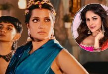 Sona Mohapatra Slams A Troll Who Called Her Out For 'Pulling Another Woman Down' After Her Indirect Jibe At Shehnaaz Gill