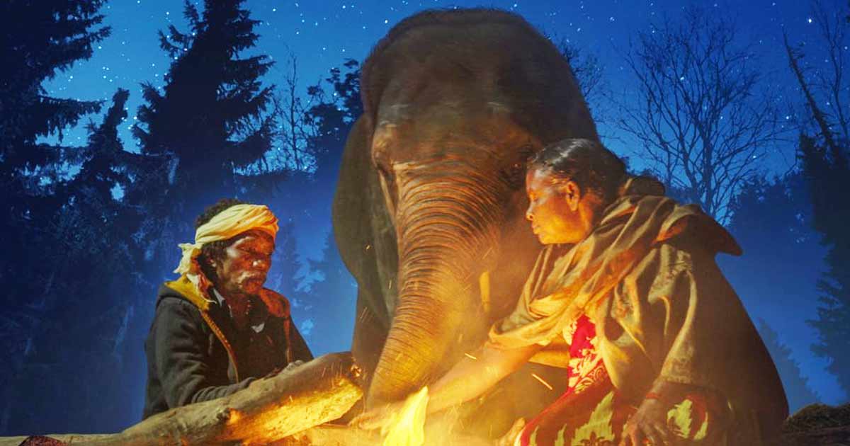 When 'The Elephant Whisperers' director met Raghu, he had no control over his trunk