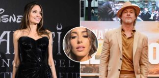 Brad Pitt & Angelina Jolie Have Been Separated For 6 Years, But He Is Not Ready To Move In With Ines de Ramon? Here's Why!