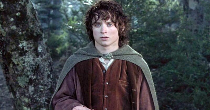Did Elijah Wood Just Express His Concern Over Warner Bros Wanting To