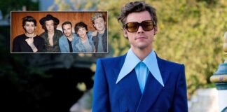 Harry Styles Breaks Silence On One Direction Reunion Rumours & Gives A Dicey Answer