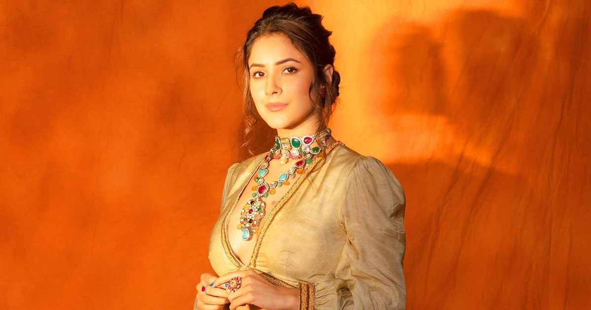 Is Shehnaaz Gill Using A Fake Instagram Profile For Stalking? Redditors Dig Out Her Other ‘Username’