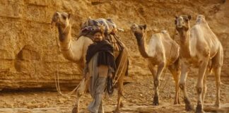 Late Irrfan Khan's 'The Song of Scorpions' to release on April 28