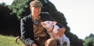 'Succession' Star James Cromwell rescues a piglet from going to slaughterhouse
