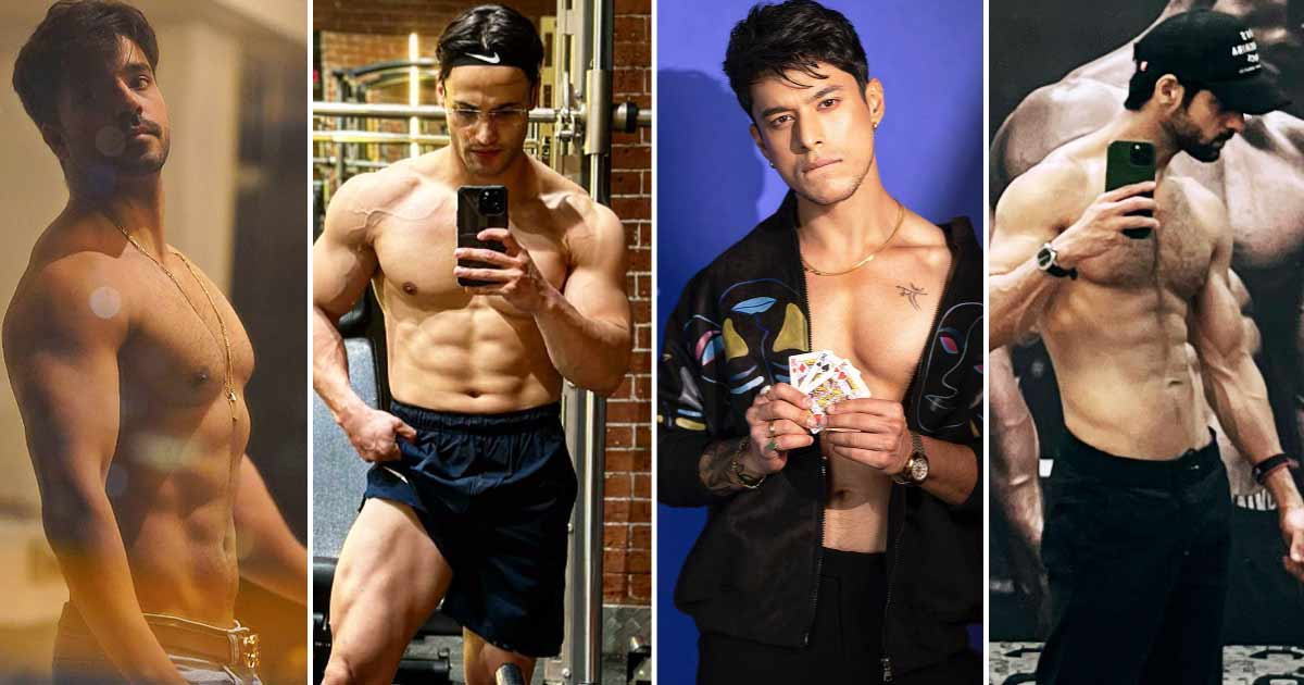 Gautam Gulati, Pratik Sehajpal, Karan Wahi Or Asim Riaz: Which 'Fitness Freak' TV Actor You'd Team Up With?
