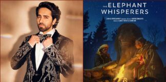 Pointing to 'The Elephant Whisperers', Ayushmann says local stories going global