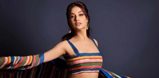 Actor Divya Agarwal’s social media story leaves netizens wondering who her co-star in upcoming single is going to be?