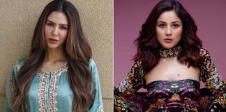 After Shehnaaz Gill, Sonam Bajwa Now Calls Out Punjabi Industry Over Sidelining Her!