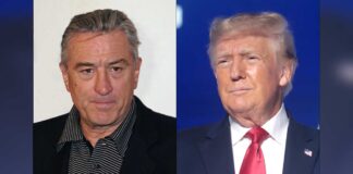 De Niro calls Trump 'stupid'; 'it's insane people think he could do a good job'