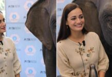 Dia Mirza is Ellie, Asia's first empathy-building elephant