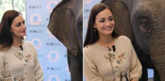Dia Mirza is Ellie, Asia's first empathy-building elephant